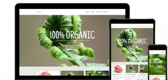 БИЗНЕС ШАБЛОН HTML САЙТА — GREEN