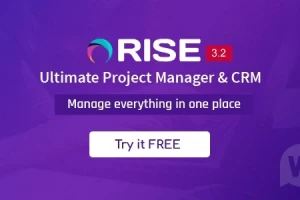 RISE v3.2.1  - управление проектами