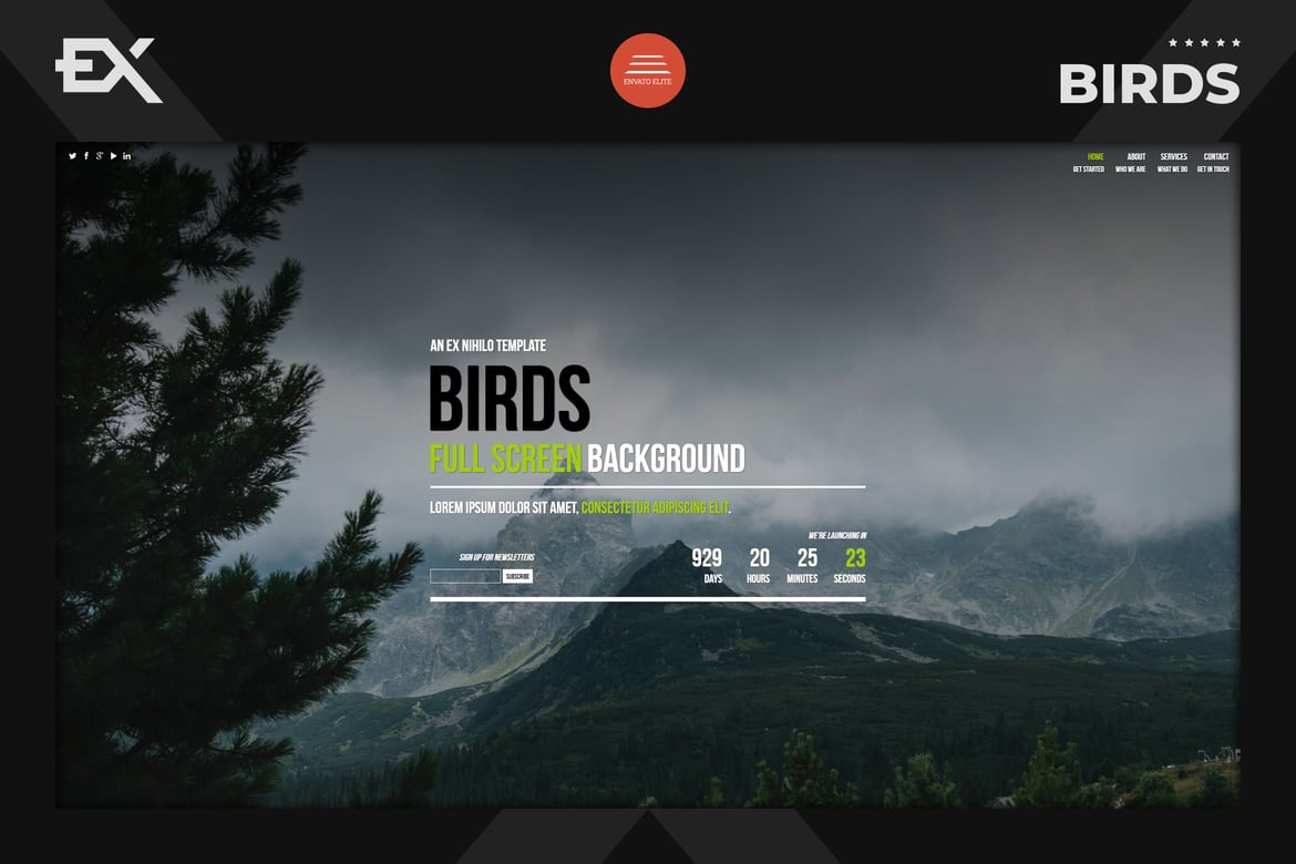 Birds - адаптивная страница скоро появится
