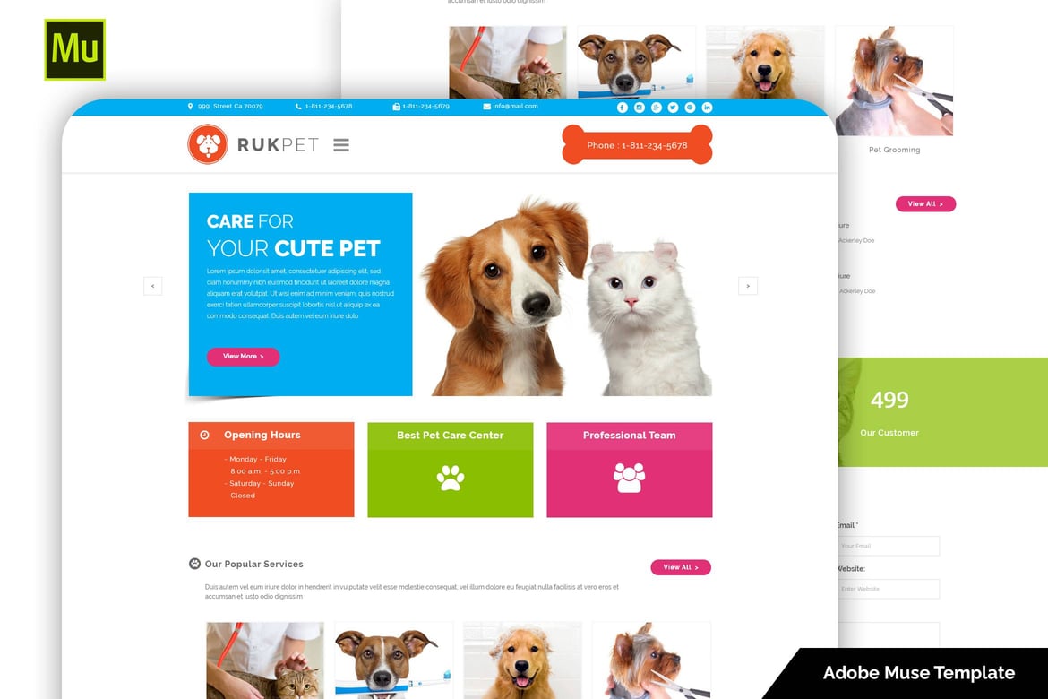 Rukpet - Шаблон услуг по уходу за домашними животными