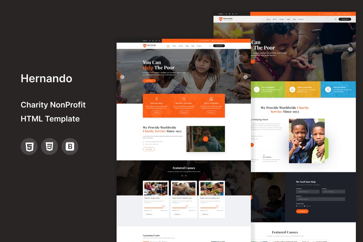 Hernando - HTML-шаблон для благотворительных некоммерческих организаций