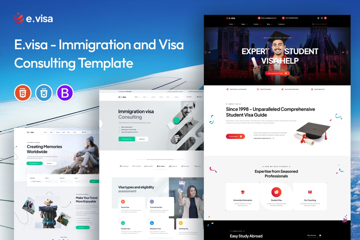 e-Visa — Шаблон иммиграционного и визового консультирования