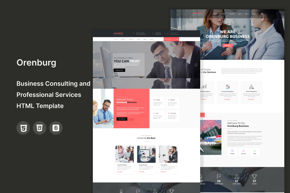 HTML-шаблон Orenburg - консультационный и профессиональный